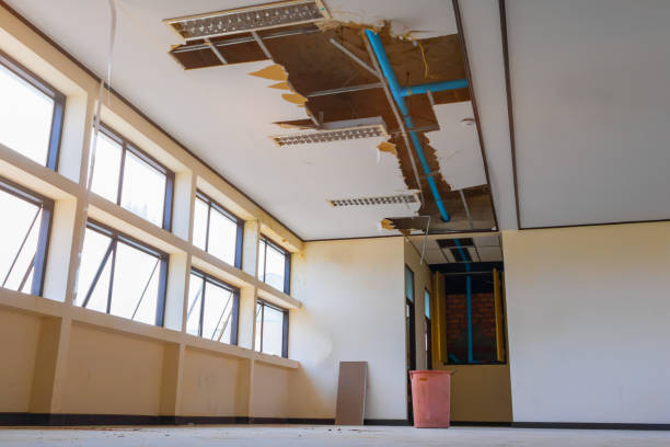 Best Water damage cleanup near me  in Yosemite Valley, CA