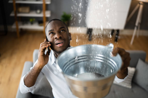 Best Mold removal after water damage  in Yosemite Valley, CA
