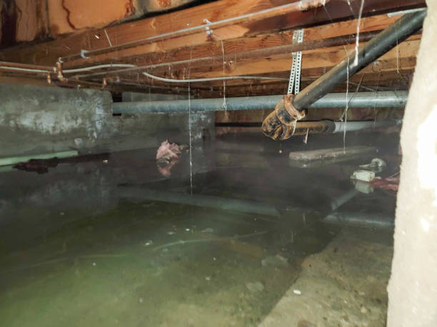 Best Fire Damage Restoration  in Yosemite Valley, CA