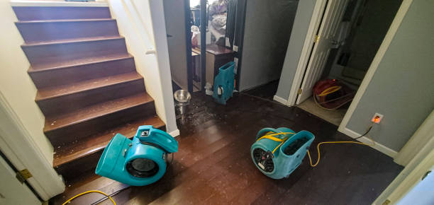 Best Basement water damage restoration  in Yosemite Valley, CA