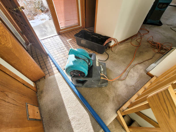 24/7 water damage repair in CA