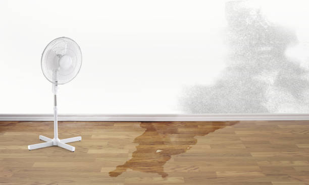 Best Water damage contractors near me  in Yosemite Valley, CA