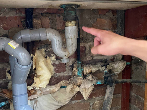Best Water damage cleanup near me  in Yosemite Valley, CA