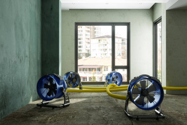 Reliable CA Water damage restoration Solutions